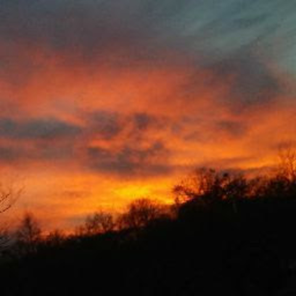 Meet your Posher, Sue